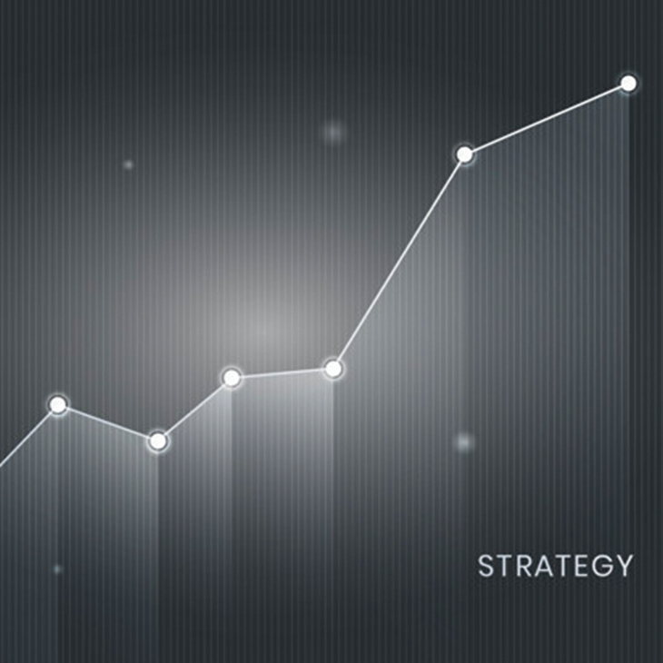 Our Strategy